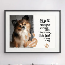 Charger l'image dans la galerie, Passe-Partout Photo Personnalisée Avec Votre Chien Ou Chat, Cadeau Unique Pour Ceux Qui Aiment Leurs Animaux De Compagnie