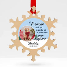 Charger l'image dans la galerie, photo 4