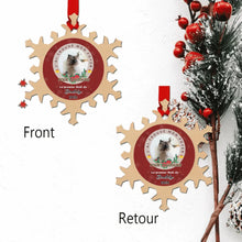 Charger l'image dans la galerie, photo 4