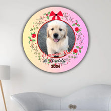 Charger l'image dans la galerie, photo 4