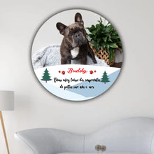 Charger l'image dans la galerie, photo 4