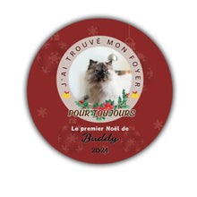 Charger l'image dans la galerie, photo 4