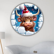 Charger l'image dans la galerie, photo 4