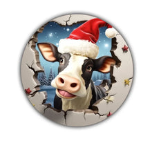 Charger l'image dans la galerie, photo 4