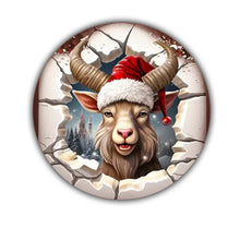 Charger l'image dans la galerie, photo 4