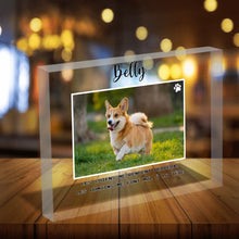 Charger l'image dans la galerie, Bgn 1-min