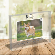 Charger l'image dans la galerie, bg 1-min