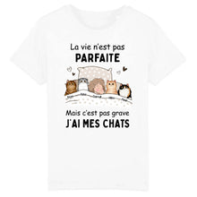 Charger l'image dans la galerie, Jusqu'à 9 chats, Porte-clés acrylique personnalisé chat, La vie n'est pas parfaite mais c'est pas grave j'ai mon chat