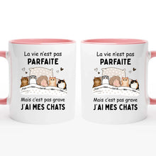 Charger l'image dans la galerie, Jusqu'à 9 chats, Porte-clés acrylique personnalisé chat, La vie n'est pas parfaite mais c'est pas grave j'ai mon chat