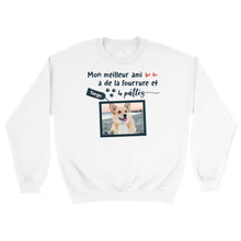 Charger l'image dans la galerie, Sweat-shirt personnalisé chien, chat, animaux, Photo de l'animal, cadeaux pour maman chat, chien
