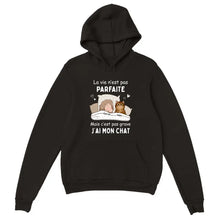 Charger l'image dans la galerie, Jusqu'à 9 chats, Sweat à capuche personnalisé chat, Sweat à capuche pour maman chat, papa chat