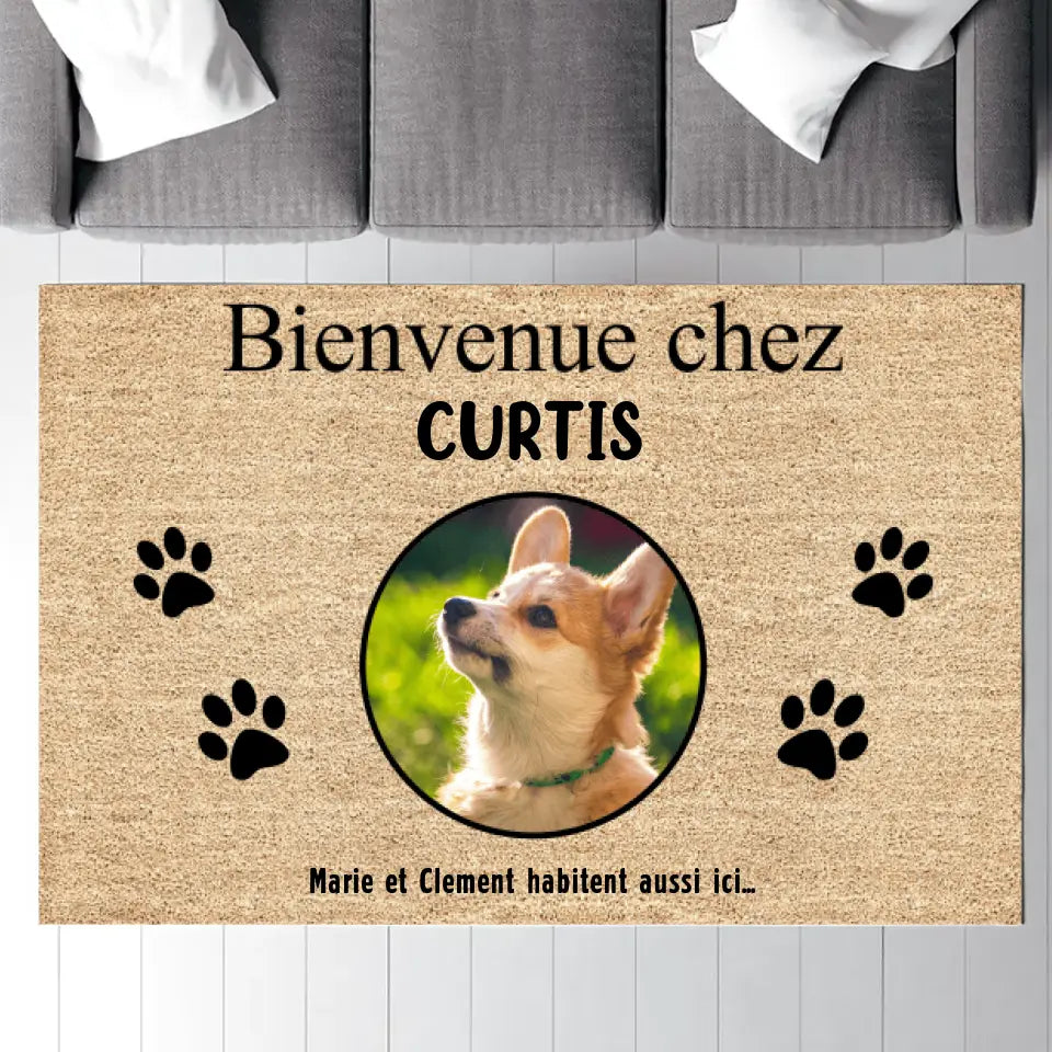 Jusqu'à 9 chats, Tapis photo chiens chats, Carpette personnalisé pour les amoureux des chiens et des chats