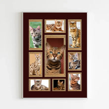 Charger l&#39;image dans la galerie, Chat du Bengale Couverture personnalisée, Plaid cadeau pour Amoureux des chats, maman chat, papa chat
