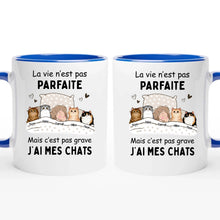 Charger l'image dans la galerie, Jusqu'à 9 chats, Porte-clés acrylique personnalisé chat, La vie n'est pas parfaite mais c'est pas grave j'ai mon chat
