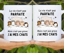 Charger l'image dans la galerie, Jusqu'à 9 chats, Porte-clés acrylique personnalisé chat, La vie n'est pas parfaite mais c'est pas grave j'ai mon chat
