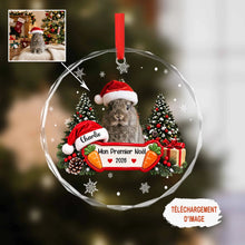 Charger l'image dans la galerie, Ornement en Verre Personnalisé avec Photo de Lapin Mon Premier Noël – Premier Noël de Votre Compagnon

