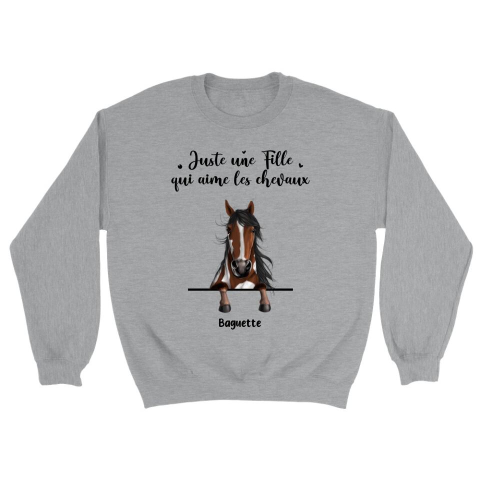 Sweat chevaux humour idee cadeau cheval